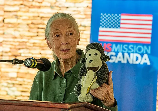 Jane Goodall, the gentle disrupter whose research on chimpanzees redefined what it meant to be human