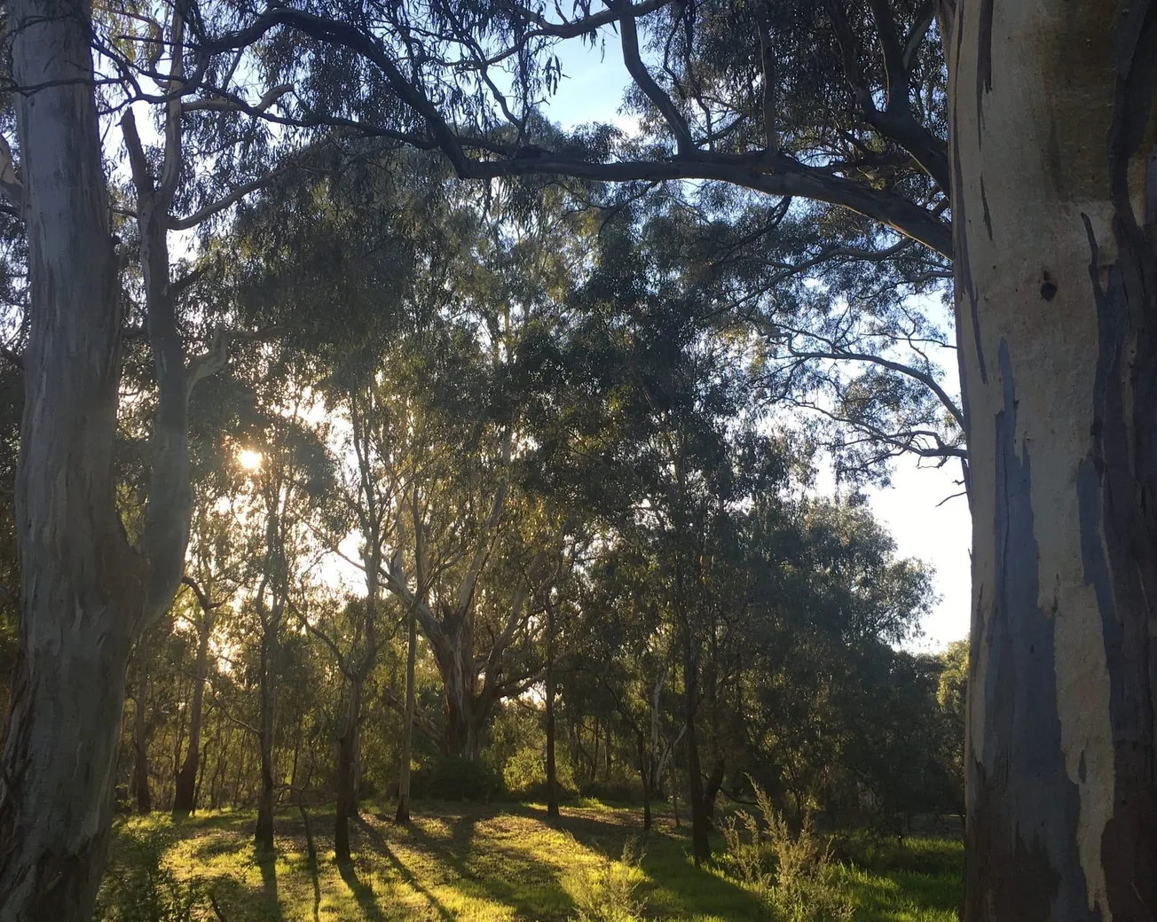 You don’t know what you’ve got, till it’s gone.