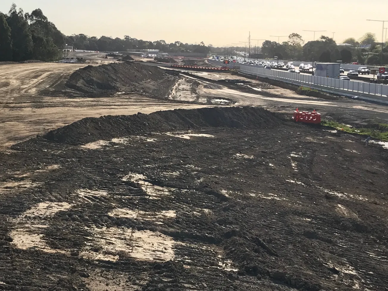 Losing trees left and right